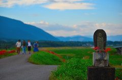 秋の散歩道