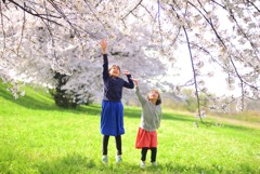 来年は届くかな・・・・。