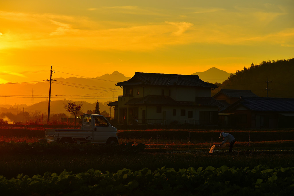 秋の夕暮れ