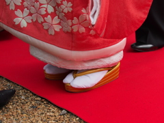 しあわせ桜