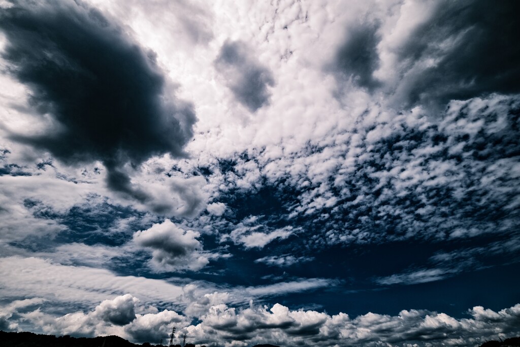 中途半端に秋っぽい雲