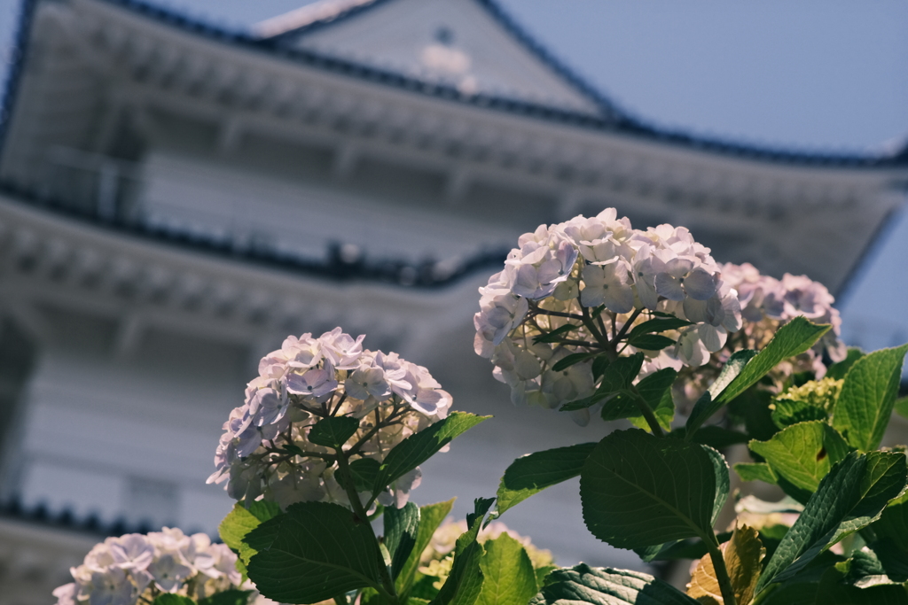 迫りくる　城が
