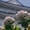 迫りくる　城が