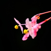 左向きの花