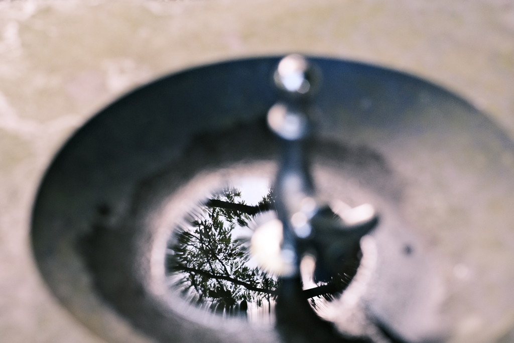 水飲み場