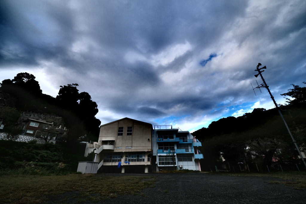 TVに