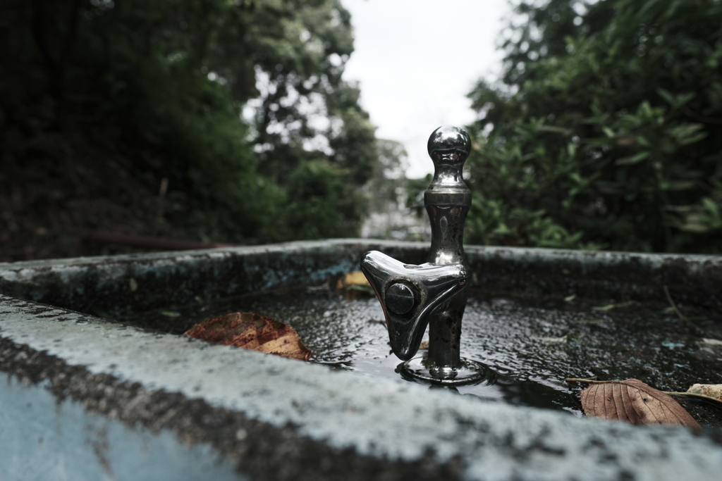水は出る