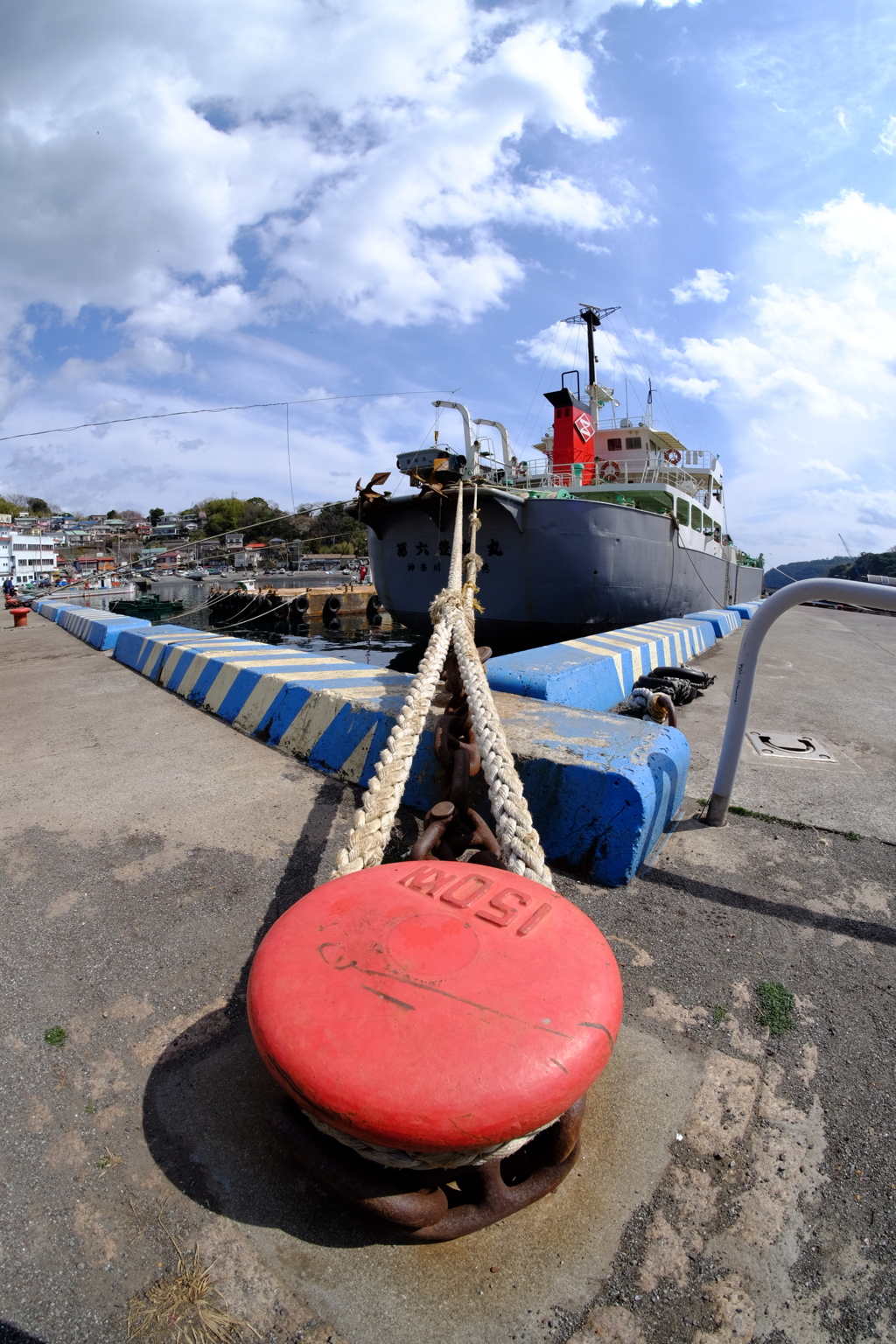 魚眼　試し撮り