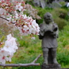 桜金次郎