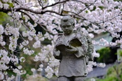 今年も桜の下で自習