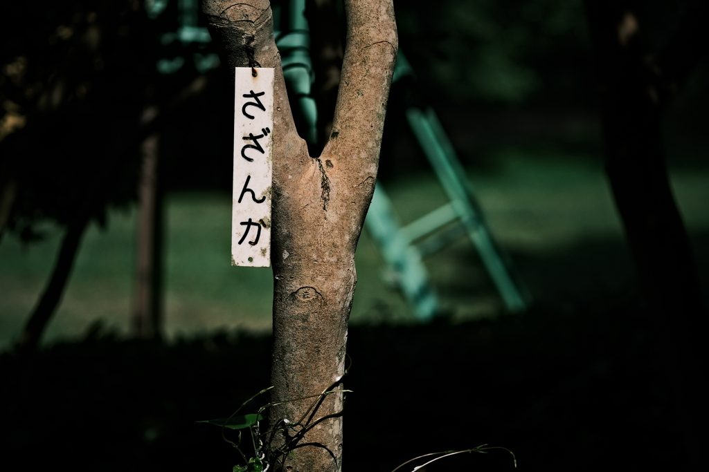 公園