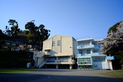 廃小学校　少し桜