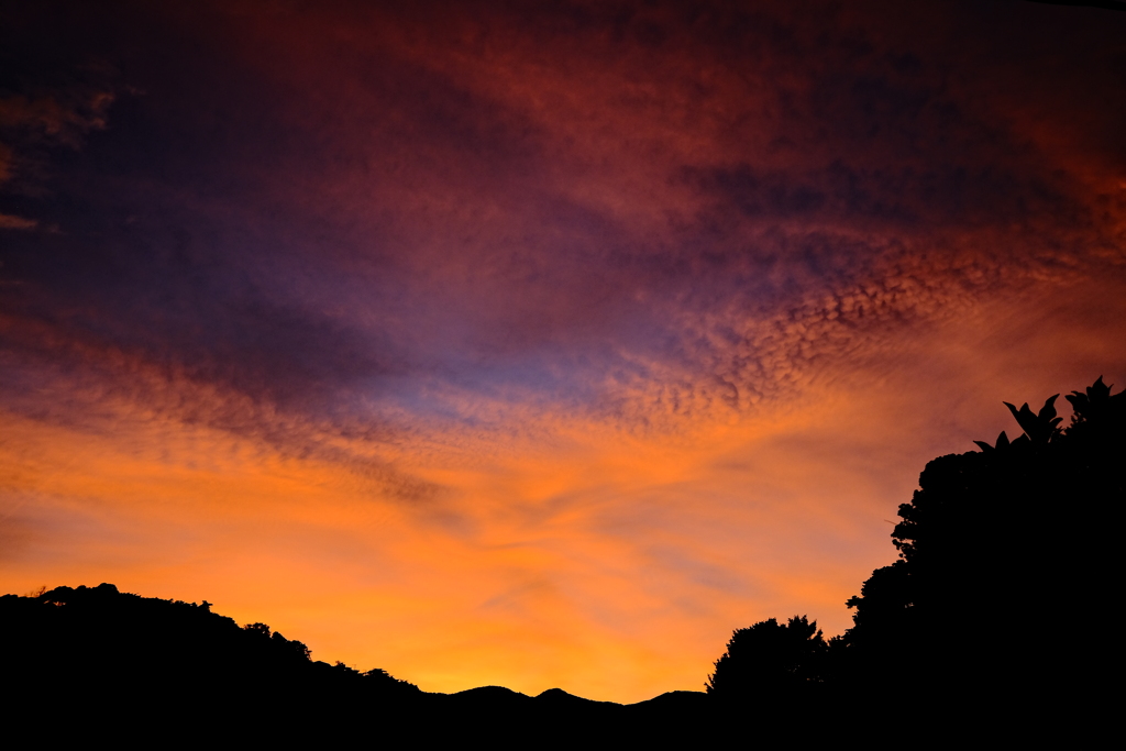さっきの夕焼け