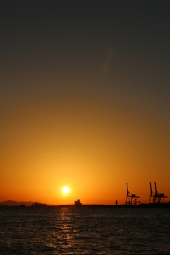 夕焼けとキリン_4