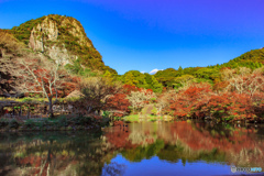 御船山楽園