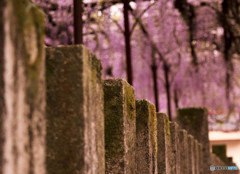 藤山神社