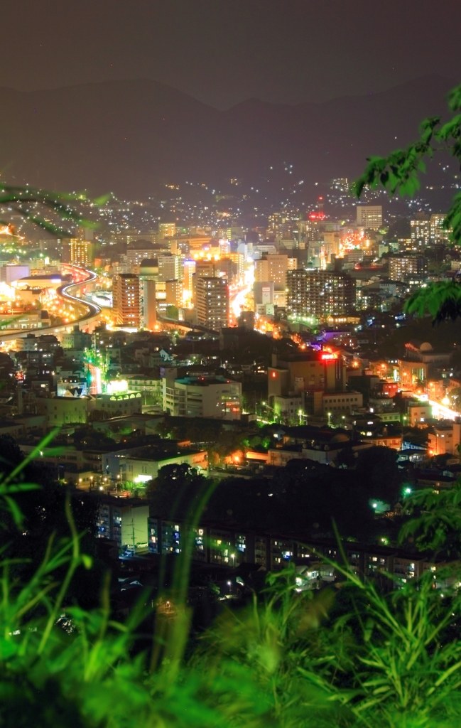 Night View
