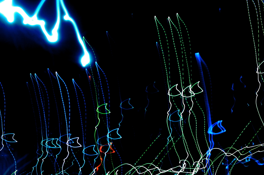 稲妻を作る猫たちの踊り