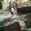 僕も登るんだ！