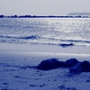 春の海