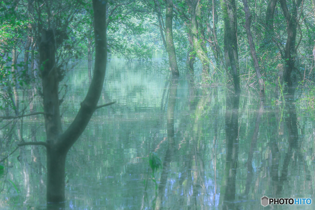 幻の池