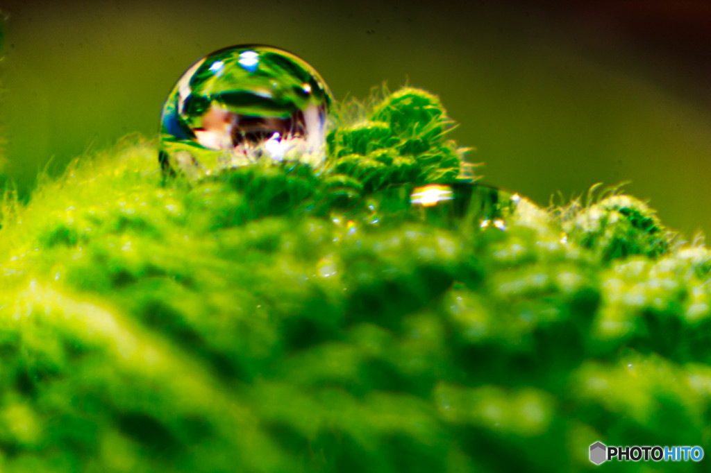 Mint Water