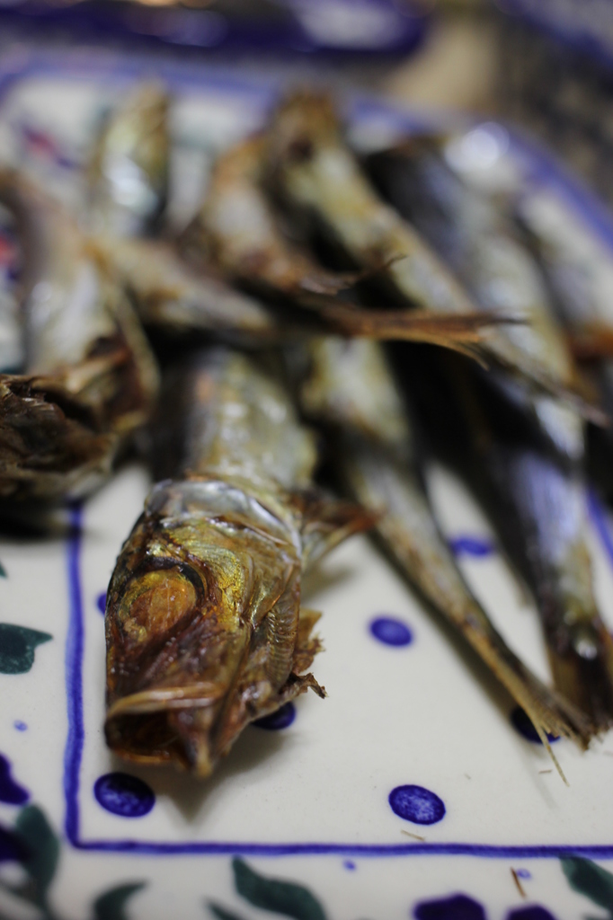 魚!!!
