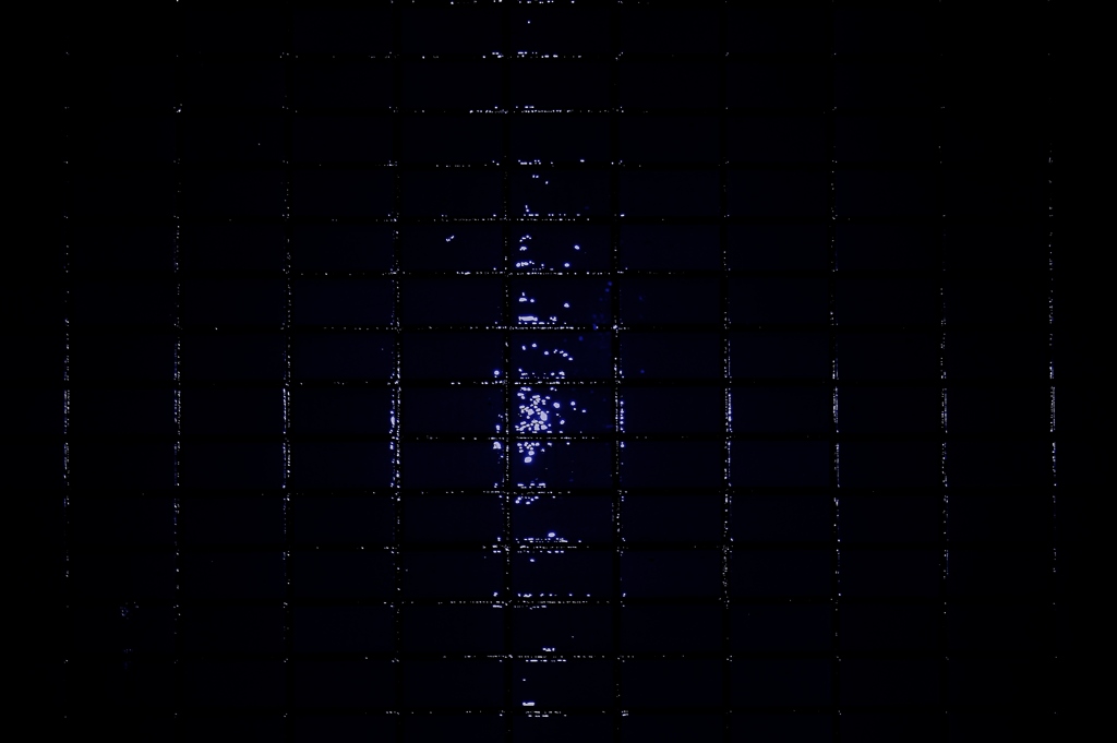 Rainy Wall