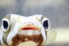 どうしたん？