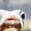 どうしたん？