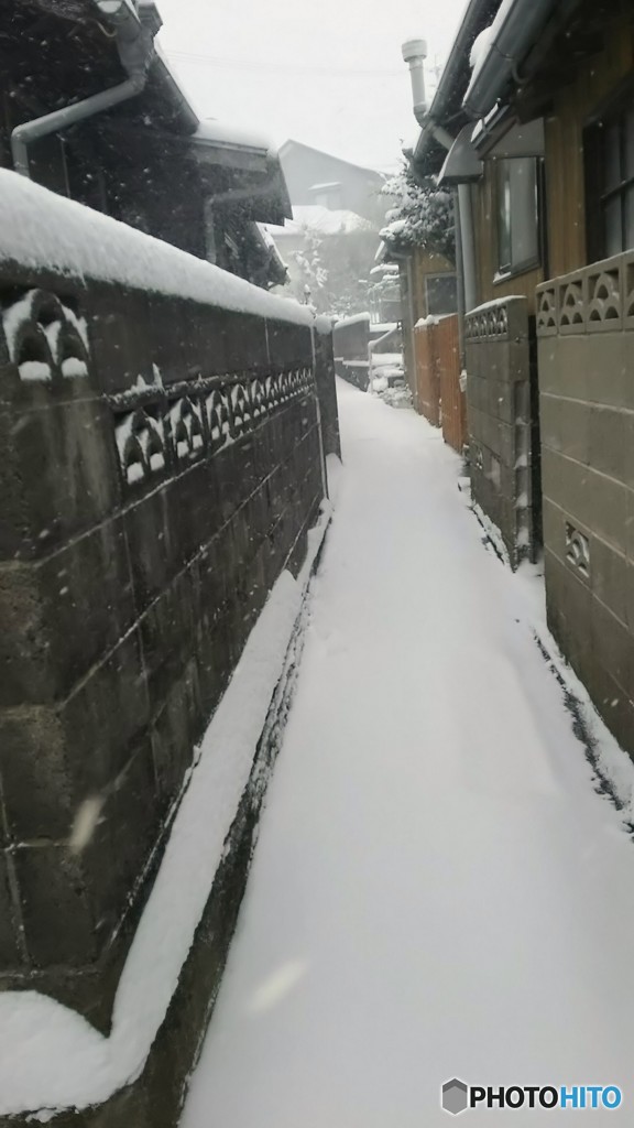 雪の路地を行く