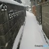 雪の路地を行く