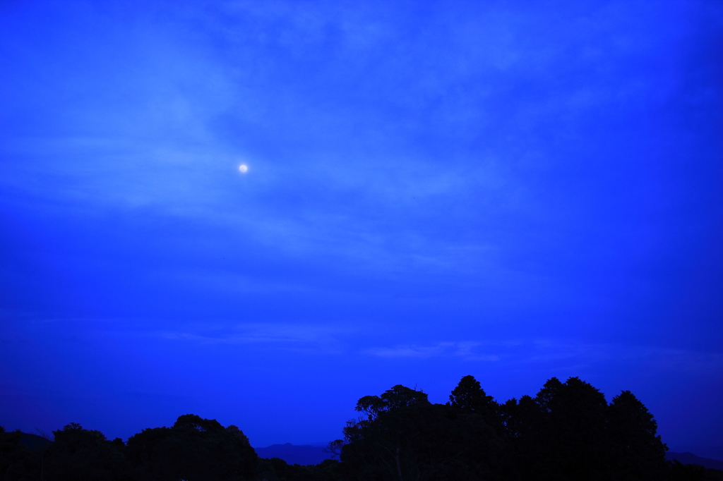 Blue Moon