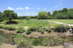 岡山後楽園