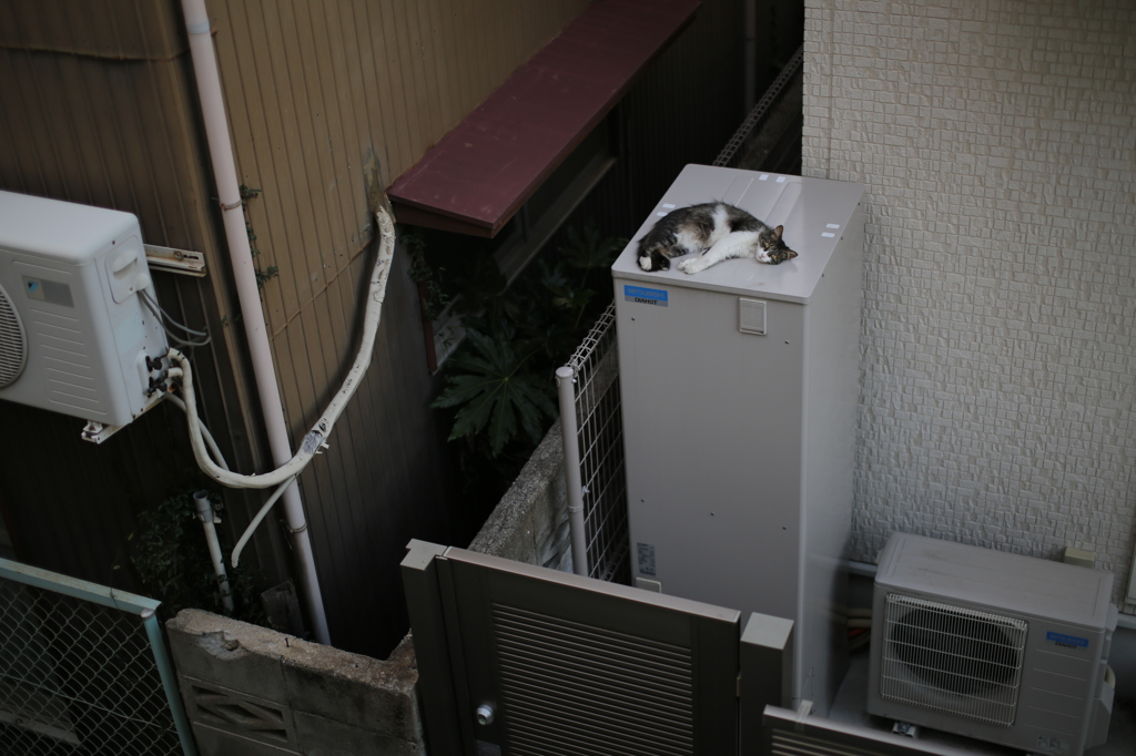 お気に入り