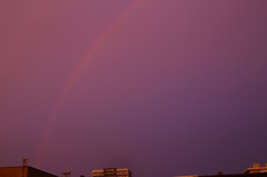 夕暮れの虹