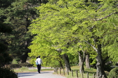 新緑ウォーキング