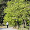 新緑ウォーキング