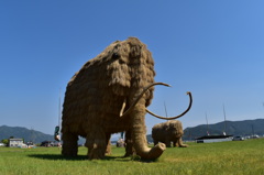 マンモスだよ～ん(*^。^*)
