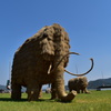 マンモスだよ～ん(*^。^*)