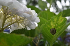 雨が降るまでひと休み♪