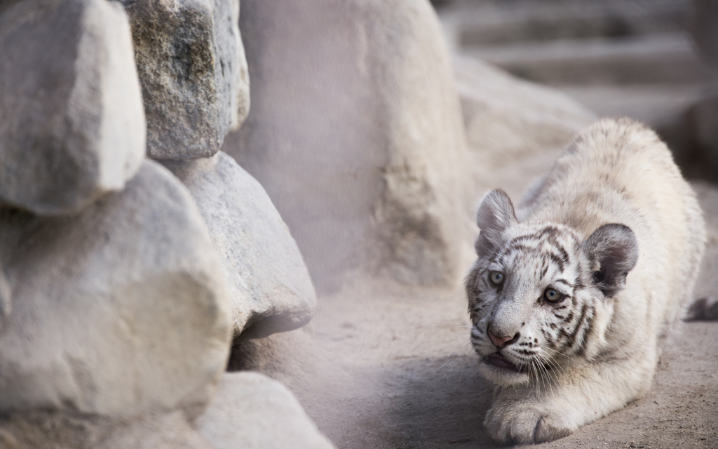 東武動物園にて10