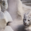 東武動物園にて10