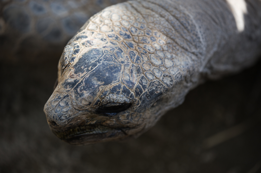 東武動物園にて11