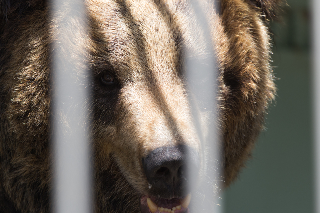 東武動物園にて12