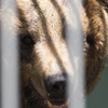 東武動物園にて12