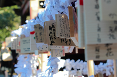 根津神社にて2