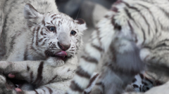 東武動物園にて8