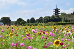 国分寺