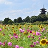 国分寺